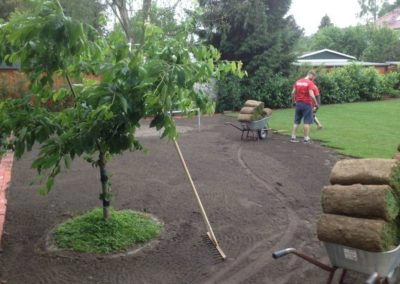 Gartenbau Berlin Rollrasen Beflanzung vorher