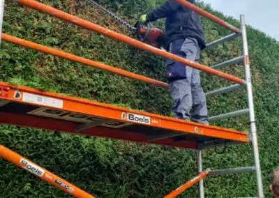 Hecken schneiden in Berlin mit Schröder Gartenpflege